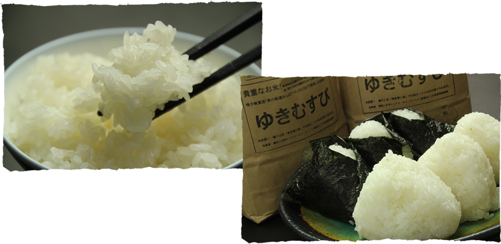 炊き立てはもちろん、おにぎりにしても変わらないおいしさがあるお米です。