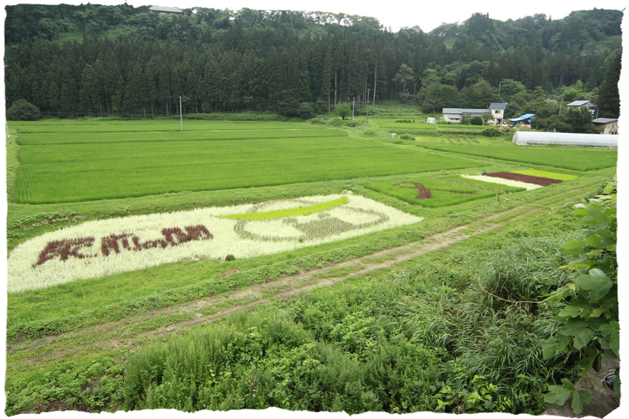 田んぼアート一例